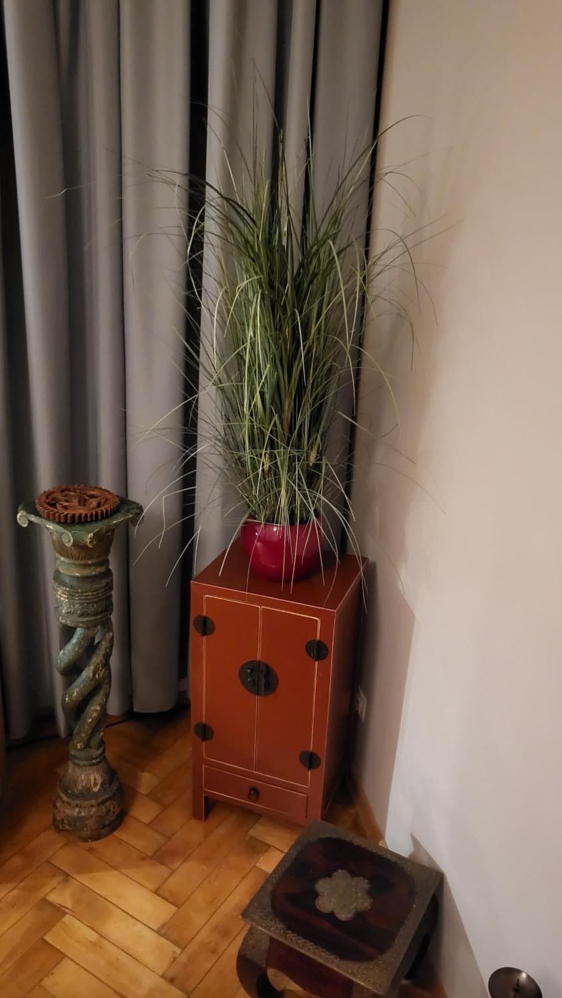 Premium - Free Massages From Physiotherapists Apartment Prague